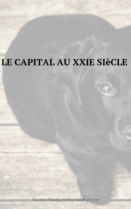 Le capital au XXIe siècle